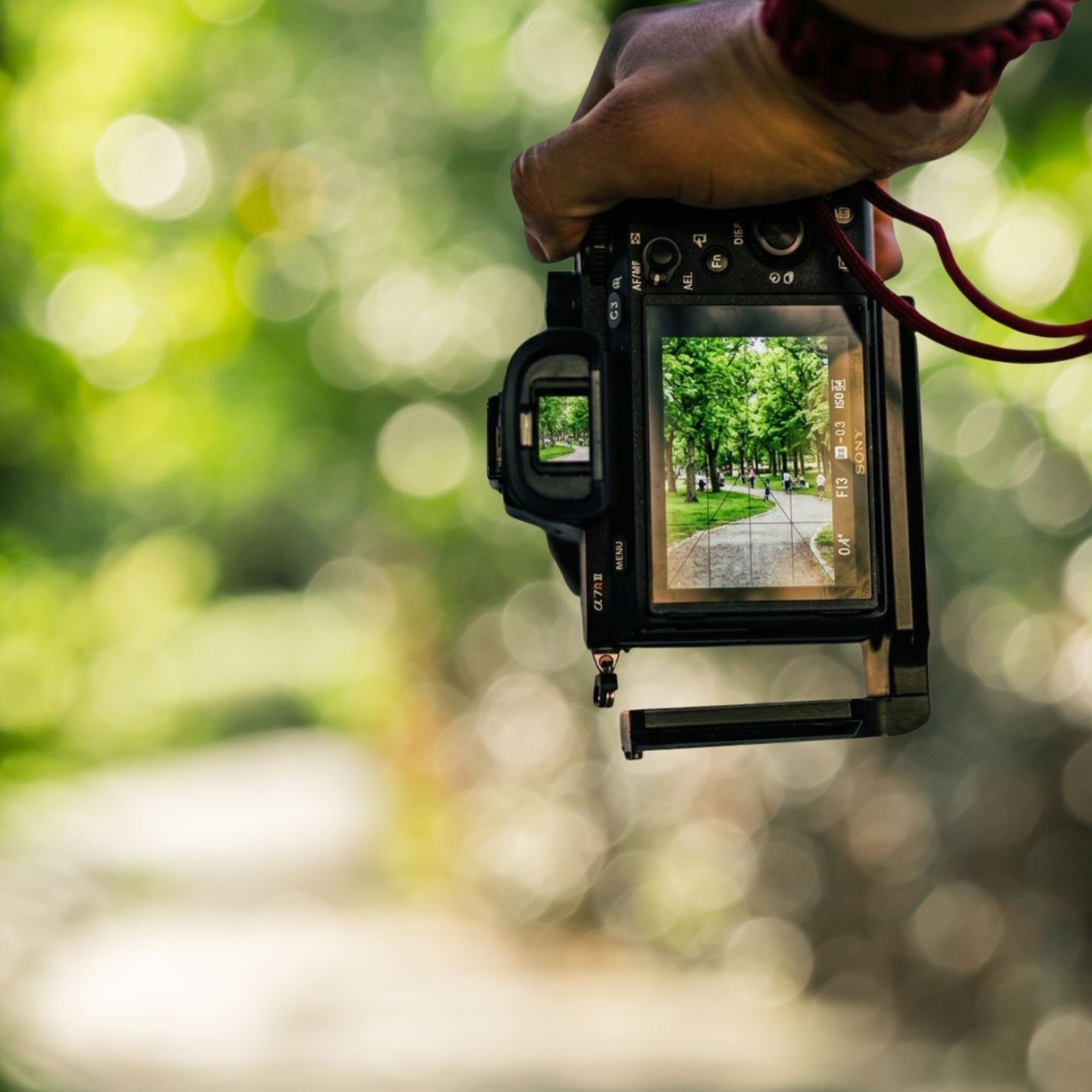 Photography Foundations: Fix Your Framing (Edges + Backgrounds)