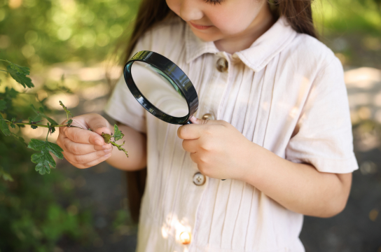 Forty hall thumbnails 4