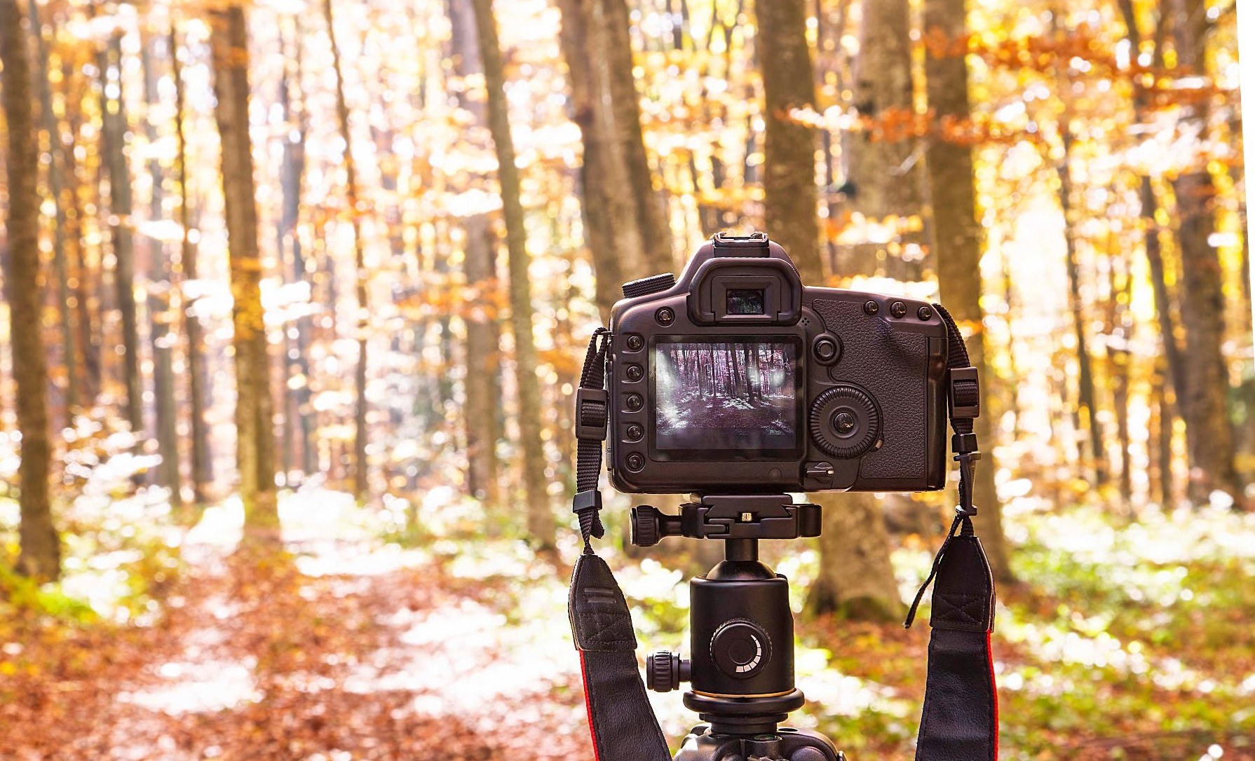 Photography wkshp jan 25