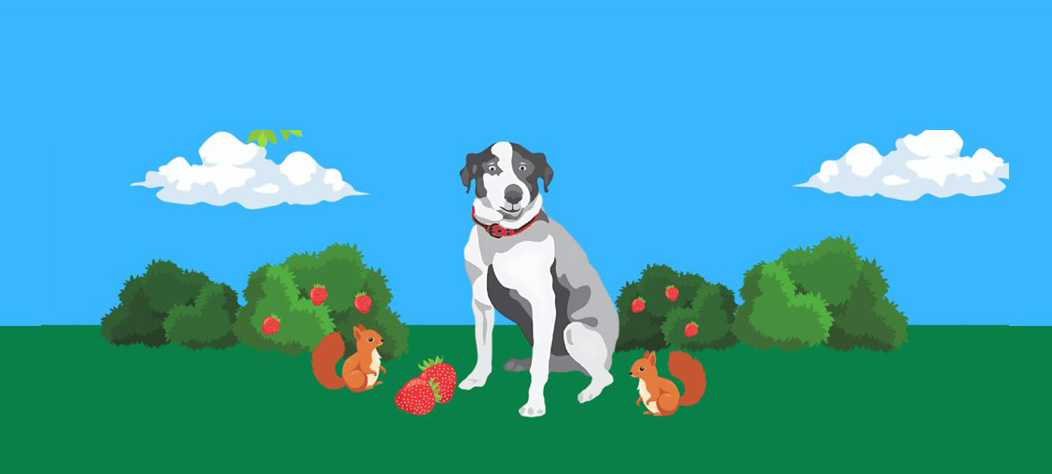 Strawberry hunt thin web banner
