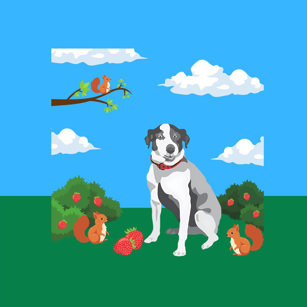 Strawberry hunt web sq