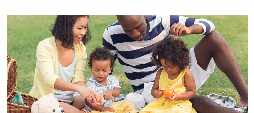 Teddy bears picnic thin web banner