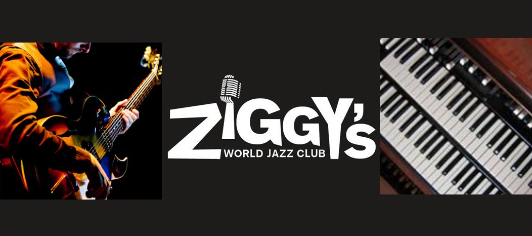 Ziggys generic thin web banner